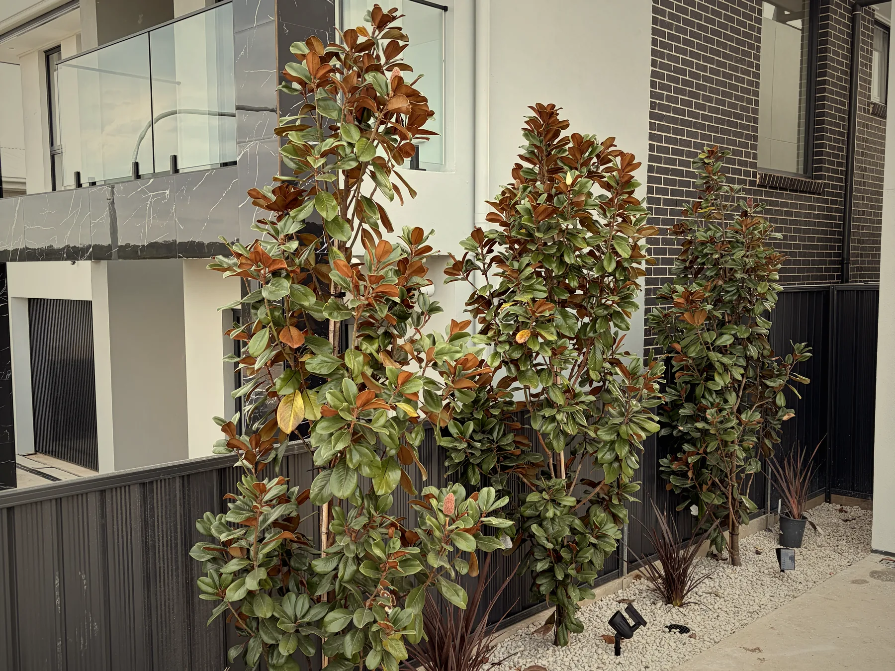 Fencing service by Azule Construction
